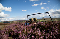 The Grouse Moor Too