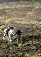 Dalnacardoch