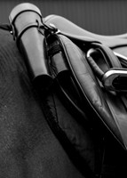 The Derwent Foxhounds March 17