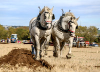 Northern Heavy Horse Society Ploughing Match '18